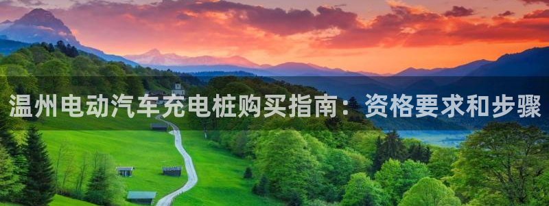 威廉国际app下载安卓：温州电动汽车充电桩购买指南：资格要求和步骤