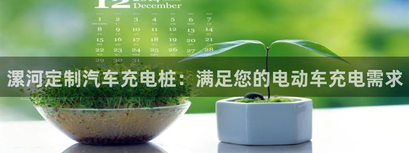 威廉体育官方app下载安卓手机：漯河定制汽车充电桩：满足您的电动车充电需求