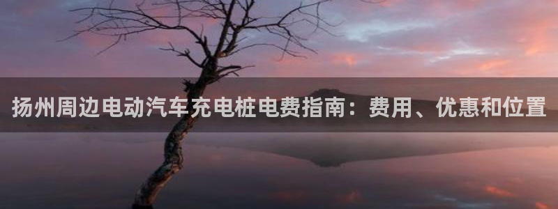 威廉希尓指数500：扬州周边电动汽车充电桩电费指南：费用、优惠和位置