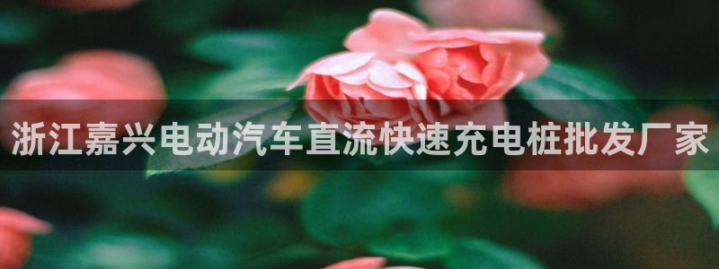 威廉希尔日职2.60是什么意思：浙江嘉兴电动汽车直流快速充电桩批发厂家