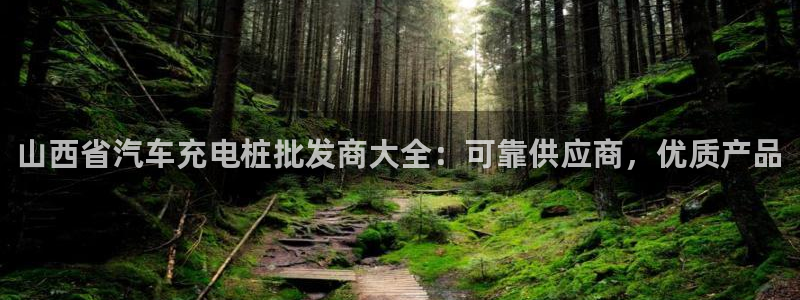 威廉希尔WilliamHill官方网站：山西省汽车充电桩批发商大全：可靠供应商，优质产品