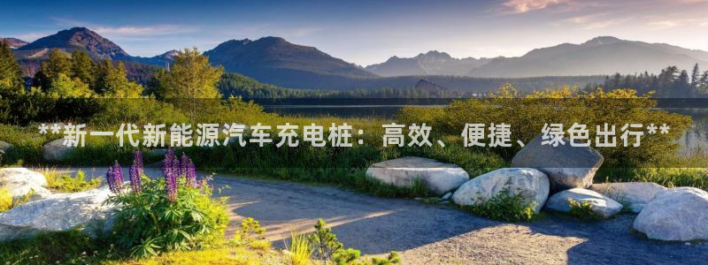 威廉国际是什么app：**新一代新能源汽车充电桩：高效、便捷、绿色出行**
