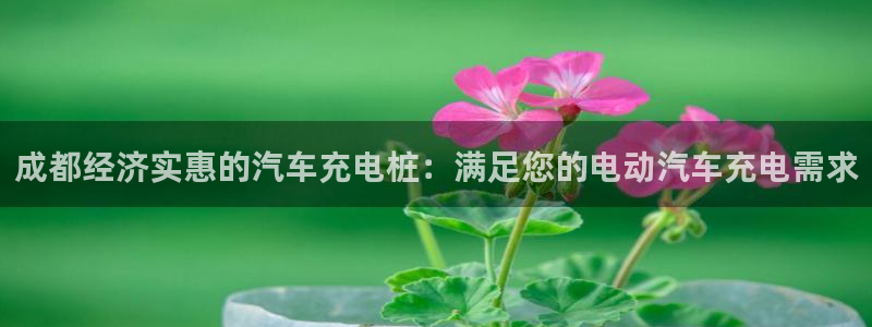 威廉希尔1.33 5 9对应赛果：成都经济实惠的汽车充电桩：满足您的电动汽车充电需求