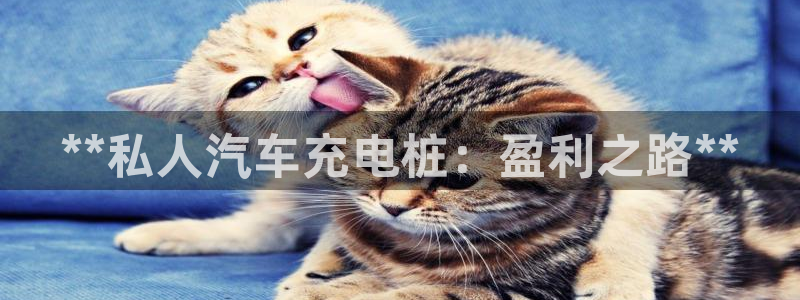威廉希尔指数一欧州指数：**私人汽车充电桩：盈利之路**