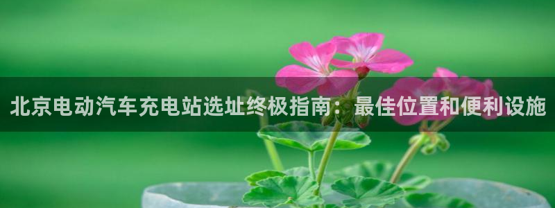 威廉希尔浏览器手机版：北京电动汽车充电站选址终极指南：最佳位置和便利设施