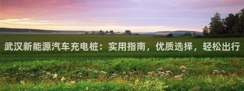 威廉希尔 1.70 4.20 4.20：武汉新能源汽车充电桩：实用指南，优质选择，轻松出行