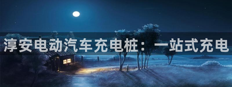 威廉希尔的分析方法2：淳安电动汽车充电桩：一站式充电
