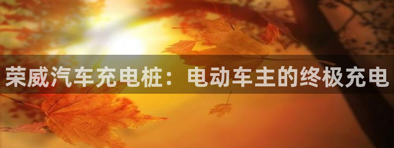 威廉希尔网页版竞博：荣威汽车充电桩：电动车主的终极充电