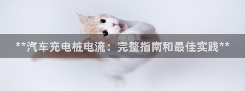 威廉希尔指数一欧州指数：**汽车充电桩电流：完整指南和最佳实践**