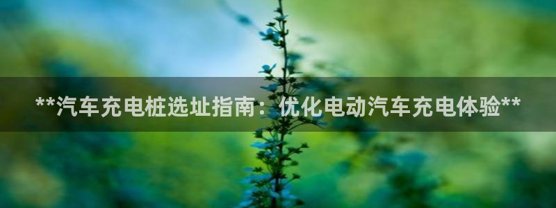 威廉希尔官网如何进入：**汽车充电桩选址指南：优化电动汽车充电体验**