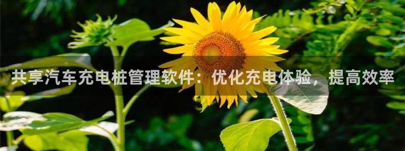 威廉国际app下载安卓：共享汽车充电桩管理软件：优化充电体验，提高效率