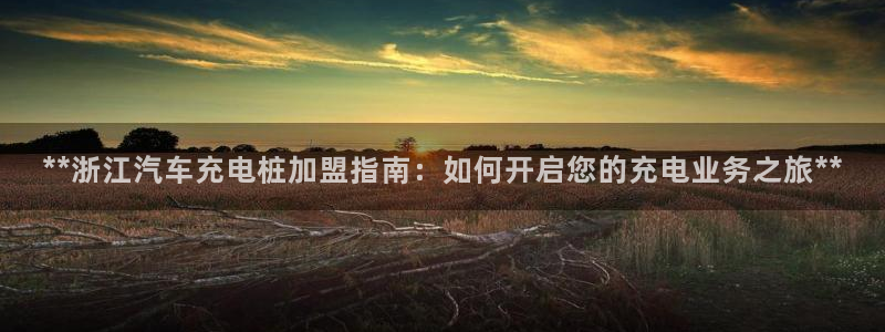 威廉希尔不开盘的比赛有哪些：**浙江汽车充电桩加盟指南：如何开启您的充电业务之旅**