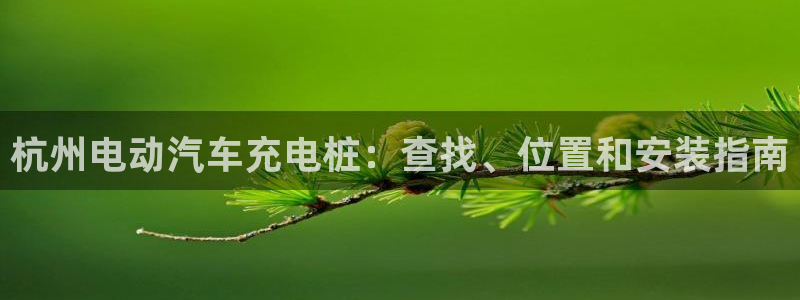 威廉希尔诺贝尔模型：杭州电动汽车充电桩：查找、位置和安装指南