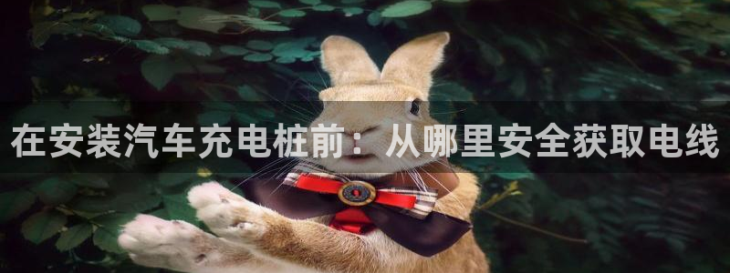 威廉希尔欧洲官网：在安装汽车充电桩前：从哪里安全获取电线