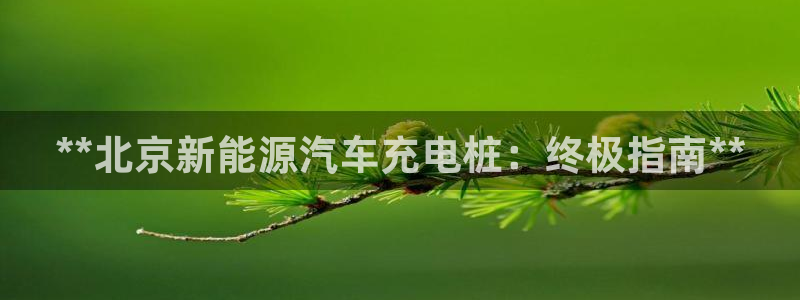 英国威廉希尔俱乐部官网：**北京新能源汽车充电桩：终极指南**