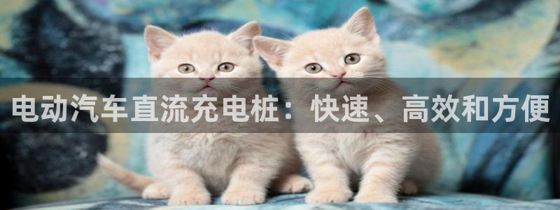 威廉希尔日职1.95是什么意思：电动汽车直流充电桩：快速、高效和方便