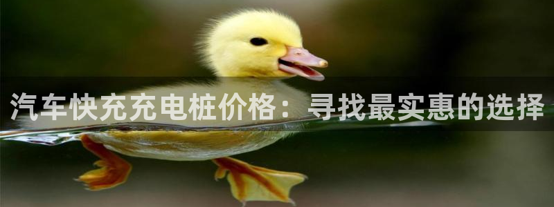 威廉希尔地区：汽车快充充电桩价格：寻找最实惠的选择