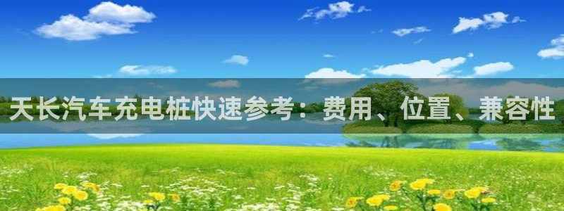 威廉希尔怎么看盘：天长汽车充电桩快速参考：费用、位置、兼容性