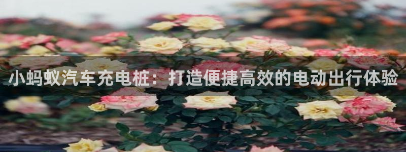 威廉希尔对比：小蚂蚁汽车充电桩：打造便捷高效的电动出行体验