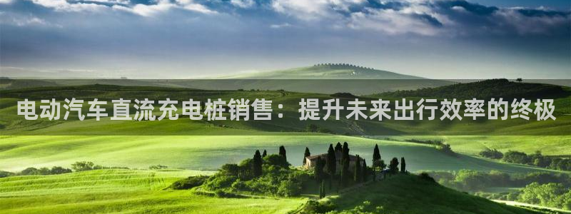 威廉和澳门区别解析：电动汽车直流充电桩销售：提升未来出行效率的终极