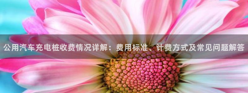 如何运用威廉希尔：公用汽车充电桩收费情况详解：费用标准、计费方式及常见问题解答