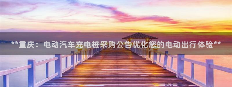 威廉指数设置多少合适：**重庆：电动汽车充电桩采购公告优化您的电动出行体验**