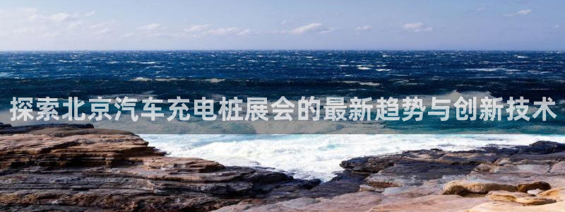 威廉指标0-20：探索北京汽车充电桩展会的最新趋势与创新技术
