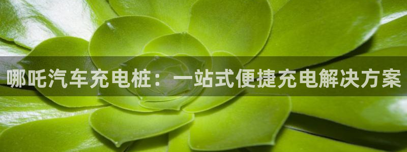 威廉国际注册：哪吒汽车充电桩：一站式便捷充电解决方案