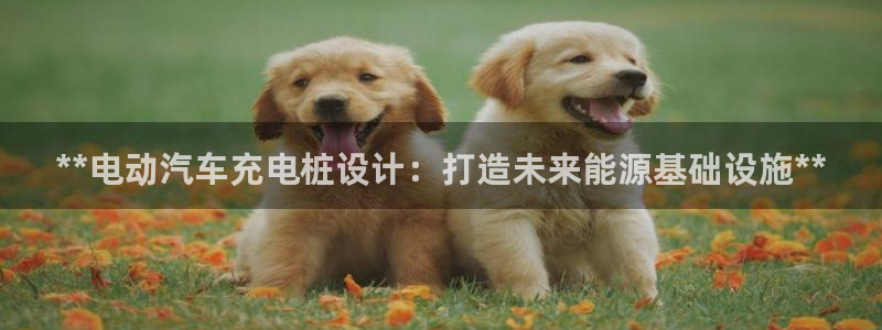 威廉指标的参数是多少：**电动汽车充电桩设计：打造未来能源基础设施**