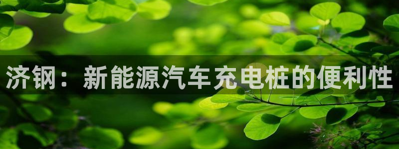 威廉希尔数据指数：济钢：新能源汽车充电桩的便利性