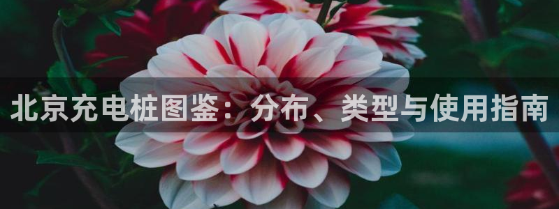 威廉体育官方app下载安卓苹果：北京充电桩图鉴：分布、类型与使用指南