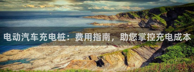 威廉指数的用法：电动汽车充电桩：费用指南，助您掌控充电成本