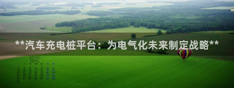 威廉希尔 1.70 4.20 4.20：**汽车充电桩平台：为电气化未来制定战略**