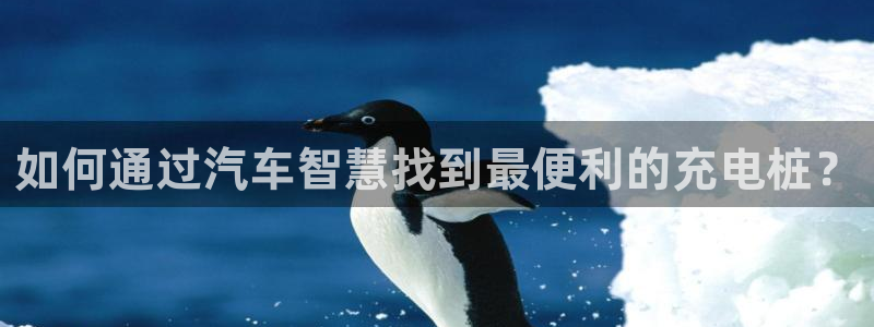 威廉与澳门盘的技巧