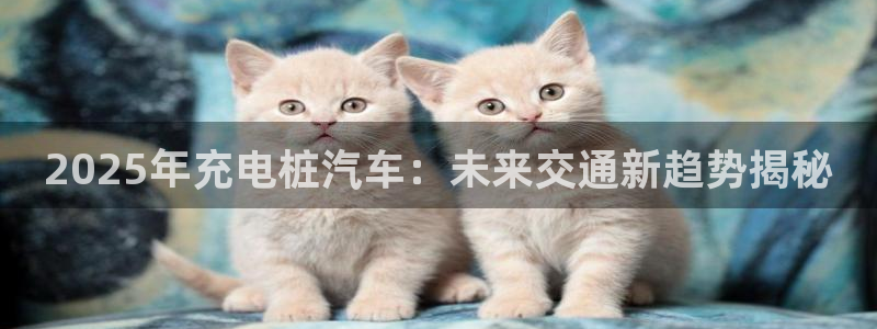 威廉指数配合什么使用比较准确：2025年充电桩汽车：未来交通新趋势揭秘