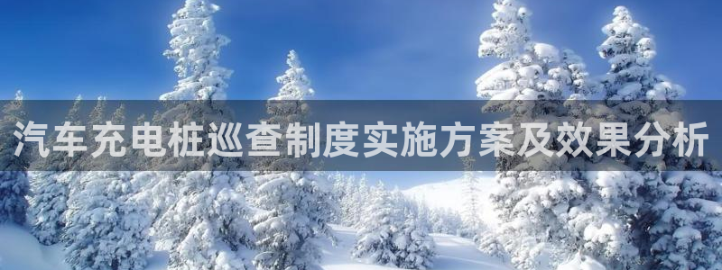 威廉客户端app下载：汽车充电桩巡查制度实施方案及效果分析