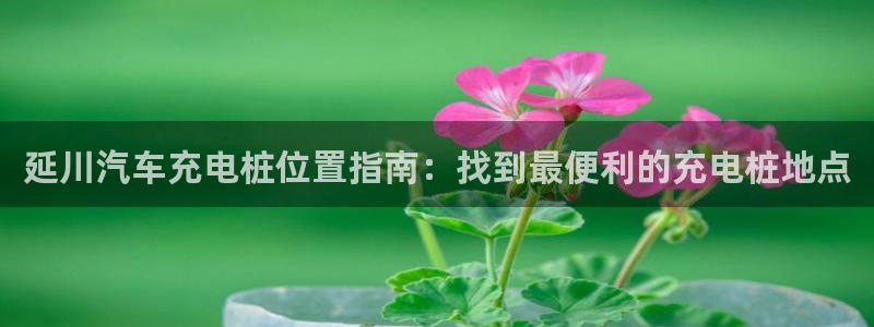 威廉希尔反波胆平台：延川汽车充电桩位置指南：找到最便利的充电桩地点