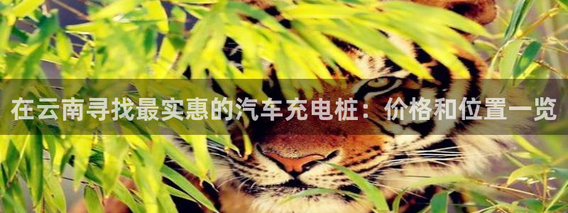 威廉希尔与立博的开盘特点：在云南寻找最实惠的汽车充电桩：价格和位置一览