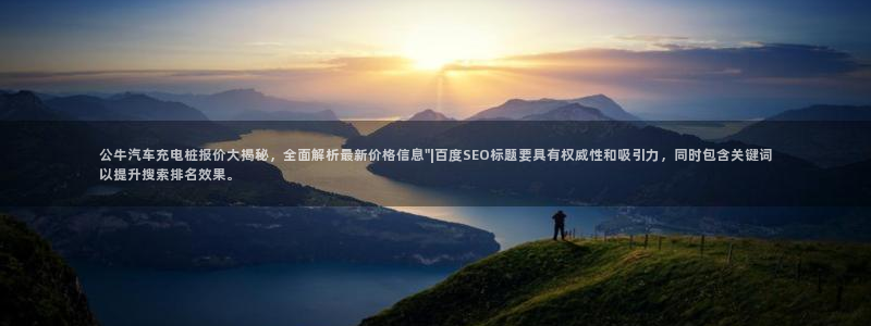 威廉希尔的分析方法2：公牛汽车充电桩报价大揭秘，全面解析最新价格信息\