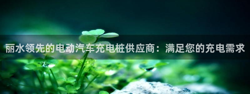 威廉足球软件下载安装：丽水领先的电动汽车充电桩供应商：满足您的充电需求