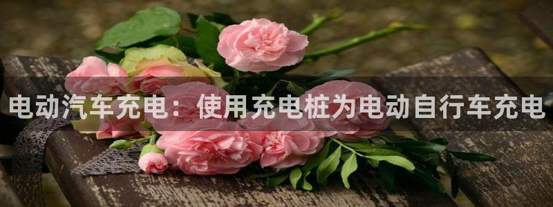 威廉希尔比立博返还率高或者低怎么判断：电动汽车充电：使用充电桩为电动自行车充电