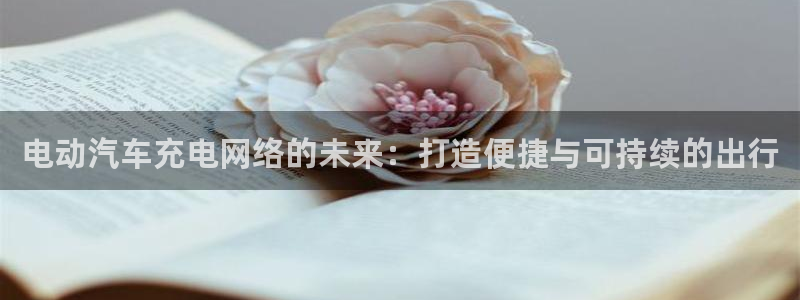 威廉希尔it：电动汽车充电网络的未来：打