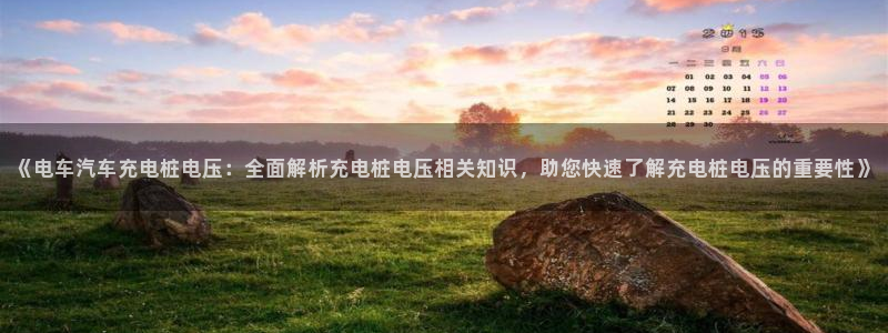 威廉希尔1.33 5 9,让球:球半：《电车汽车充电桩电压：全面解析充电桩电压相关知识，助您快速了解充电桩电压的重要性》