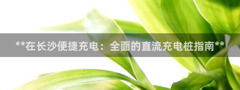 威廉篮球俱乐部：**在长沙便捷充电：全面的直流充电桩指南**