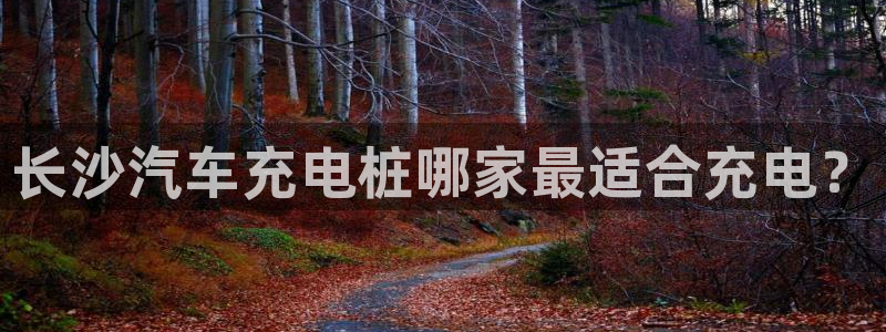 英国威廉希尔俱乐部官网：长沙汽车充电桩哪家最适合充电？