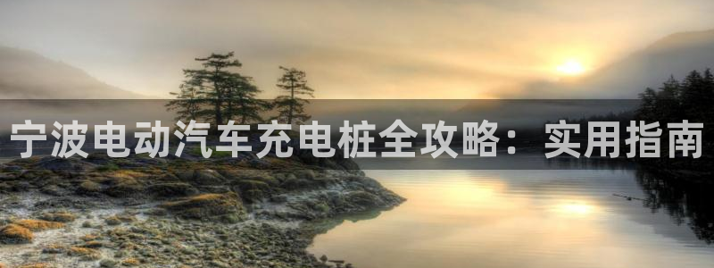 威廉希尔网站怎么换成中文：宁波电动汽车充电桩全攻略：实用指南