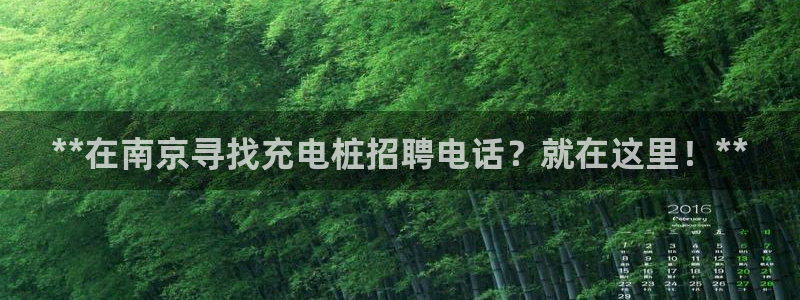 威廉官网：**在南京寻找充电桩招聘电话？就在这里！**