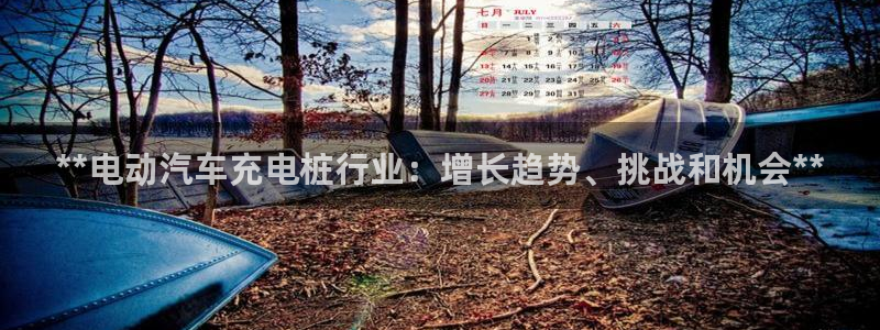 威廉希尔提现：**电动汽车充电桩行业：增长趋势、挑战和机会**