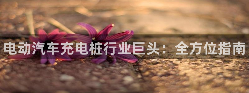 欧冠威廉希尔初赔研究：电动汽车充电桩行业巨头：全方位指南