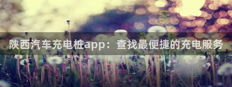 威廉国际公司：陕西汽车充电桩app：查找最便捷的充电服务